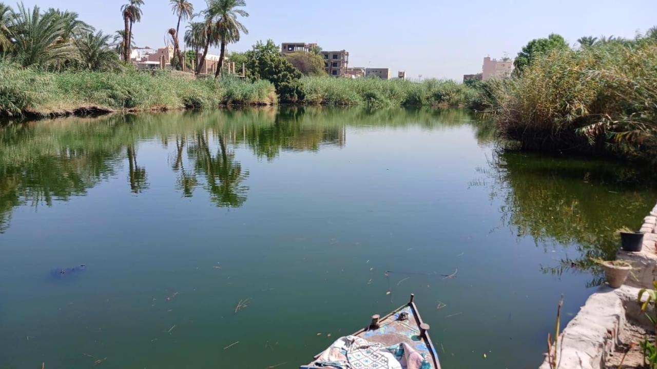 Luxor Old Nile Hotel Exterior photo